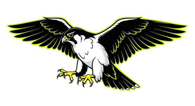 Falcon mascot with spreading wings and sharp talons