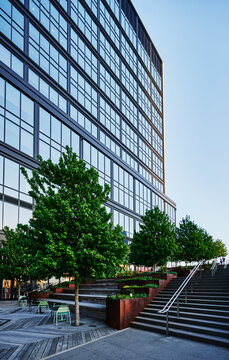 The Summer Street Steps in Boston's Seaport District, a pedestrian connection featuring 44 steps and 12 red point maple trees, Massachusetts, New England