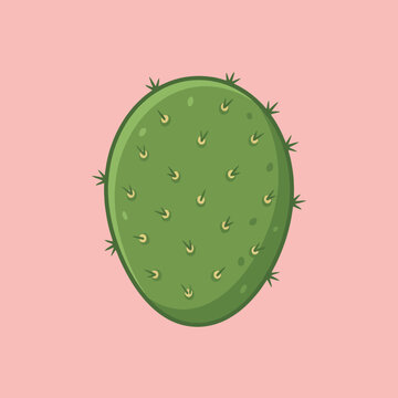 A green prickly pear cactus pad on a solid pink background