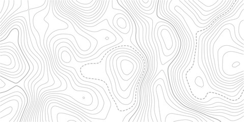 Topographic line contour map background,.Light topographic topo contour map background, geographic grid map.Abstract vector illustration. . © MDSOHEL