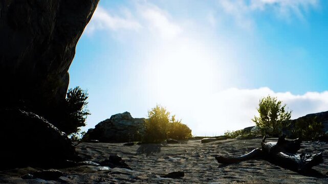Sunlight fills the scene as rays shine onto sandy ground surrounded by rocks and small plants. The area shows signs of nature and a serene landscape.