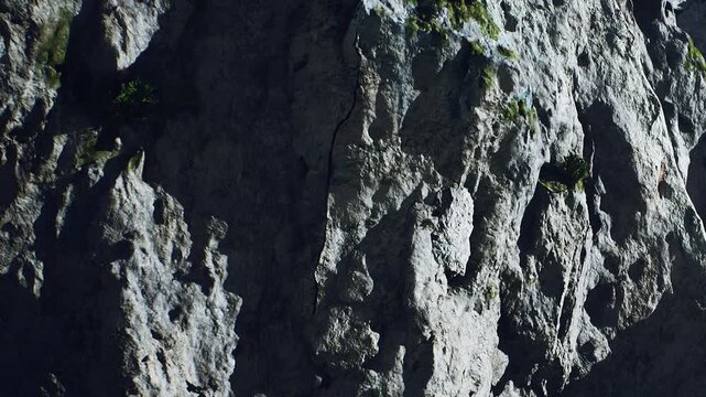 A rocky cliff with some green plants growing on its surface. The sunlight highlights the texture of the rocks. It appears to be daytime.