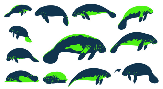 Manatee silhouettes in various swimming and resting poses