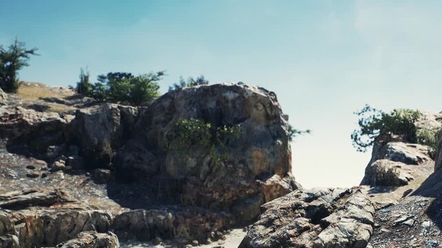 Rocky land is visible with green plants growing among the stones. The sky above is clear and blue. Sunlight illuminates the scene. No signs of human activity are present.
