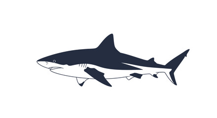 Fototapeta premium Shark swimming in the ocean water.