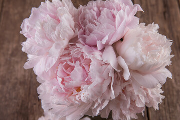 A bouquet of lush, delicate pink peonies © Olga Tkacheva