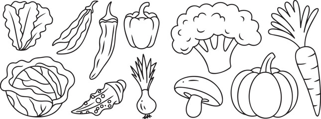 Fototapeta premium A diverse set of detailed outline drawings showcasing fresh healthy vegetables for organic food concepts