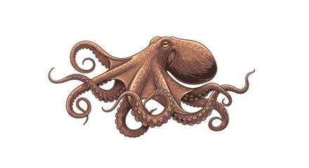 Brown octopus with curled tentacles and detailed suckers © fajri