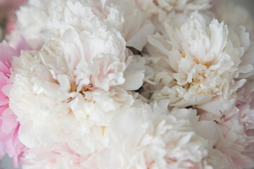 A bouquet of lush, delicate pink peonies © Olga Tkacheva