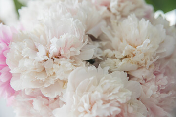 A bouquet of lush, delicate pink peonies © Olga Tkacheva