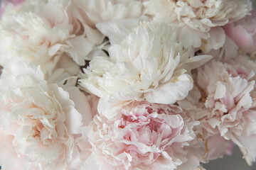 A bouquet of lush, delicate pink peonies © Olga Tkacheva