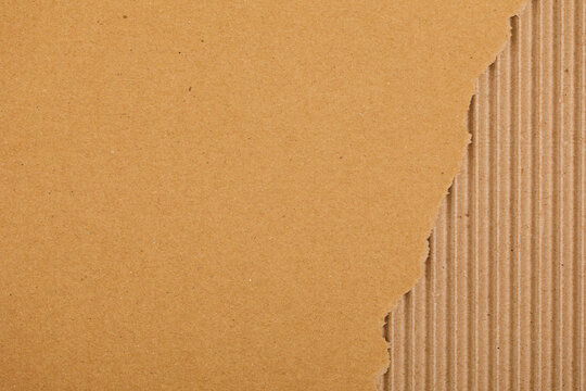 Close up of torn brown cardboard texture revealing corrugated lines below surface.
