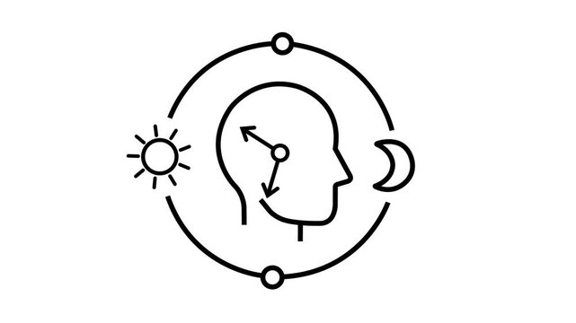 Circadian health line animation on white background. Sleep wake cycle regulation. Circadian health human head integrates clock and day night cycle. Suitable for health and wellness concepts.