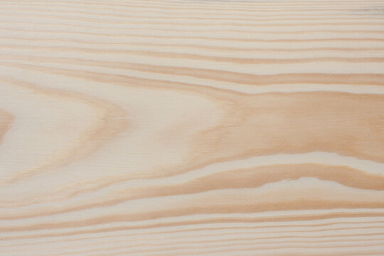 Pine wood texture. Freshly sawn sanded pine board