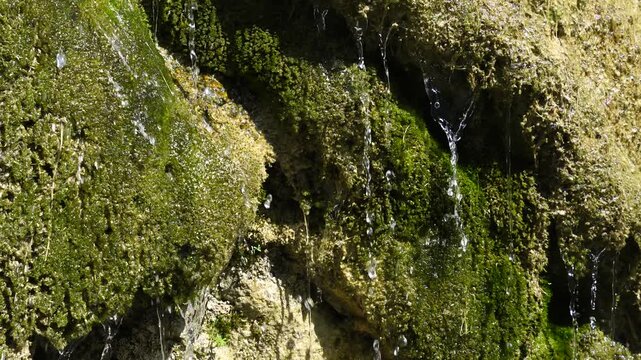 Water flows over a layer of moss emerging from a rock
