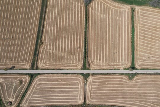 Texture geometriche di campi agricoli