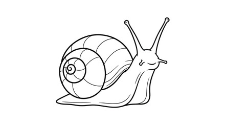 Simple black and white line drawing of a snail with a spiral shell is suitable for children's coloring books or nature art. © MS