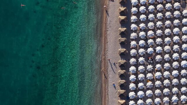 Aerial view of Llamani Beach with rows of white umbrellas and turquoise water in Himare, Vlore County, Albania.