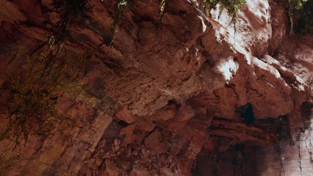 A large rock formation is visible inside a cave. The stone structure is rough and textured. Green plants grow on the walls and ceiling. Light shines down from above.