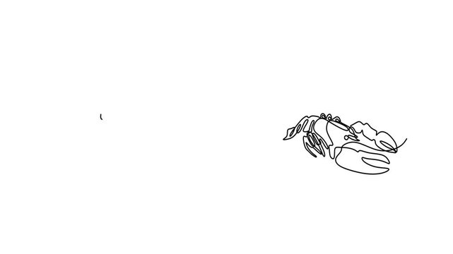 Animated self drawing of continuous line draw of  Lobster Line Art Collection. Logo. Full length one line animation. 4K	
