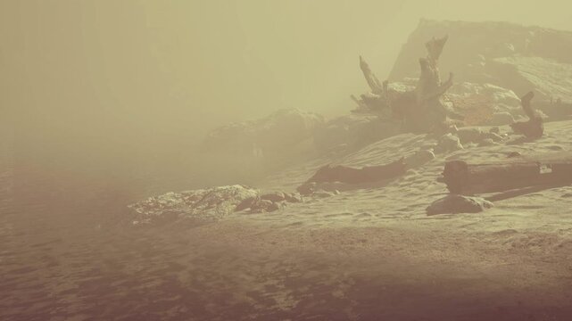 A foggy scene shows a shoreline with dark rocks and pieces of driftwood near the water. The visibility is low and the atmosphere appears mysterious and quiet.