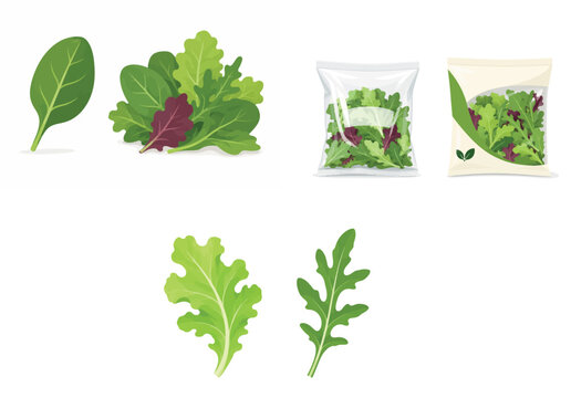 Vsai fresh leafy greens salad mix packaging concept
