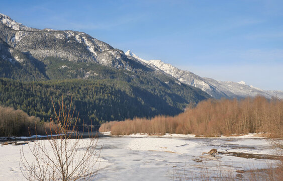Brackendale Eagle Run Vista Point along the Squamish River during a winter season in Squamish, British Columbia, Canada