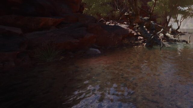 A clear view shows a riverbank with smooth rocks and greenery nearby. Water flows quietly along the edge, reflecting light from above. Trees are scattered along the bank.