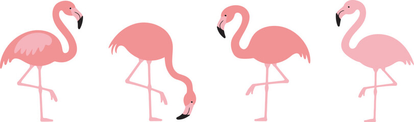 Fototapeta premium Set of pink flamingo cartoon birds in different poses, colorful vector collection of adorable tropical birds with expressive personalities, including dancing, sitting, 