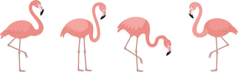 Obraz premium Set of pink flamingo cartoon birds in different poses, cute vector illustration collection featuring standing, walking, resting, and playful flamingos, tropical wildlife characters perfect