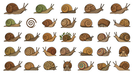 Snail vector illustration collection with realistic garden snail and spiral shell icons isolated on white backgrou © B