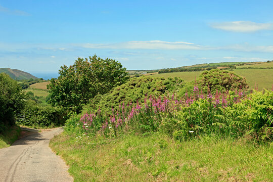 Country road on the fringe of Exmoor National Park north Devon England