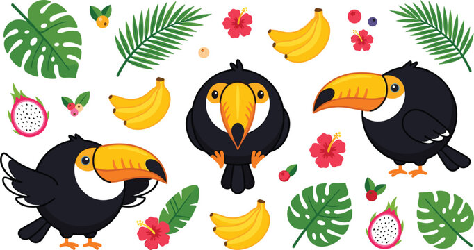 Cute toucan bird vector element set featuring cartoon exotic birds with tropical monstera leaves palm foliage bananas hibiscus and dragon fruit