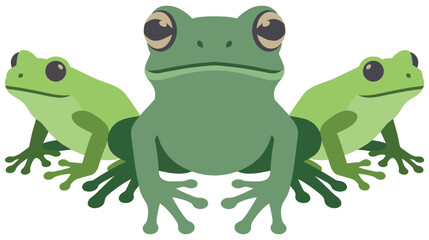 Fototapeta premium Three green frogs sitting together in a group portrait.