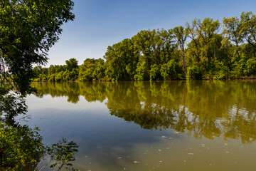 Fototapeta premium Martely backwater of the Tisza river