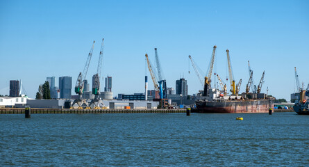 Fototapeta premium Port of Rotterdam, Netherlands. Cargo ships and cranes loading, Logistics business