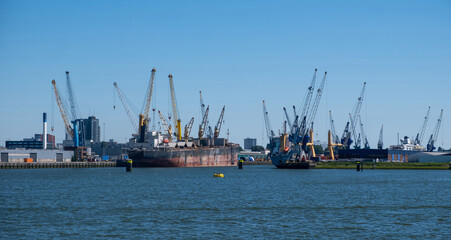 Fototapeta premium Port of Rotterdam, Netherlands. Cargo ships and cranes loading, Logistics business