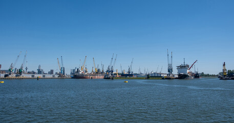 Fototapeta premium Port of Rotterdam, Netherlands. Cargo ships and cranes loading, Logistics business