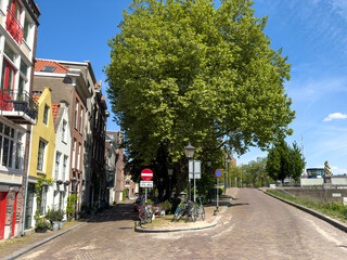 Obraz premium Historic Delfshaven street with leafy tree and bicycles in sunny Rotterdam Netherlands