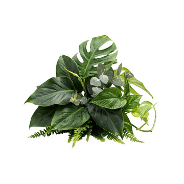 A dense cluster of various green tropical leaves, including monstera and philodendron, isolated on a white background, for floral decor