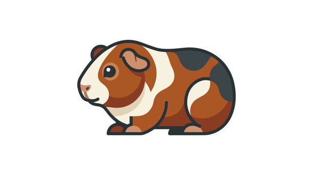 Cute brown and white guinea pig.