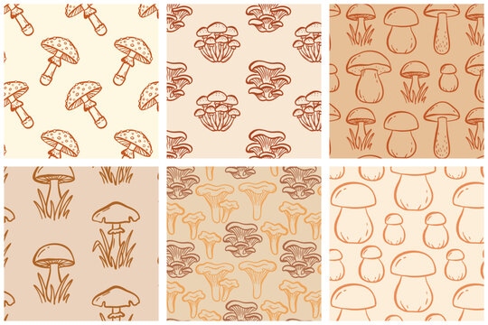 Set of 6 seamless mushroom patterns in hand drawn minimal line art doodle style. Collection of forest fungi backgrounds including porcini, chanterelle, oyster, amanita and wild mushrooms. Clean outlin