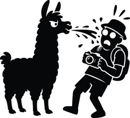 Fototapeta premium Funny black silhouette of a grumpy llama spitting on a shocked tourist photographer with a camera