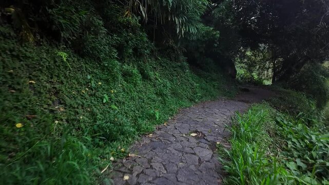Scenic footage landscape of Hellbourg Thermes village in Salazie Cirque, Reunion Island, France	