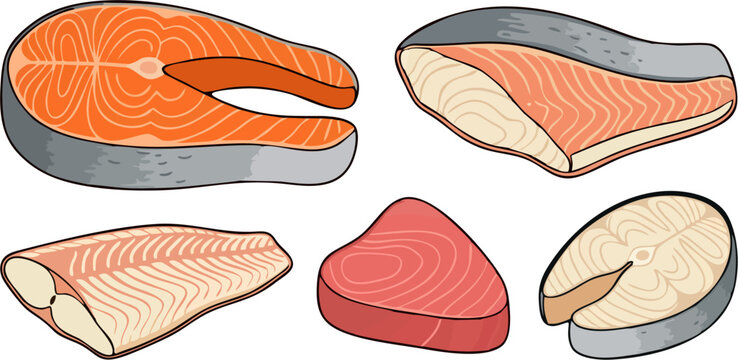 Set of Five Various Raw Fish Steak and Fillet Cuts Including Salmon Tuna and White Fish