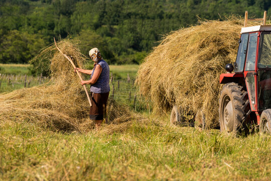 Loading Hay