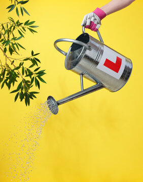 Learning to water plants