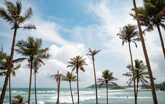 Coconut Tree Hill, Mirissa, Sri Lanka. Tourist destination
