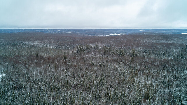 An expansive high-angle drone photograph capturing mist and low clouds drifting over a vast winter forest canopy with distant frozen lakes under a moody, overcast sky in Ontario.