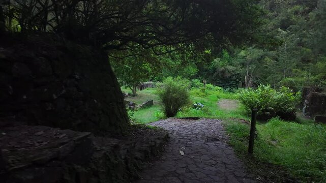 Scenic footage in the ruins of the Old Thermes of Hell-Bourg in Salazie, La R&eacute;union, are the remains of a 19th-century spa, a luxurious destination known for its healing, Vichy-like mineral waters.